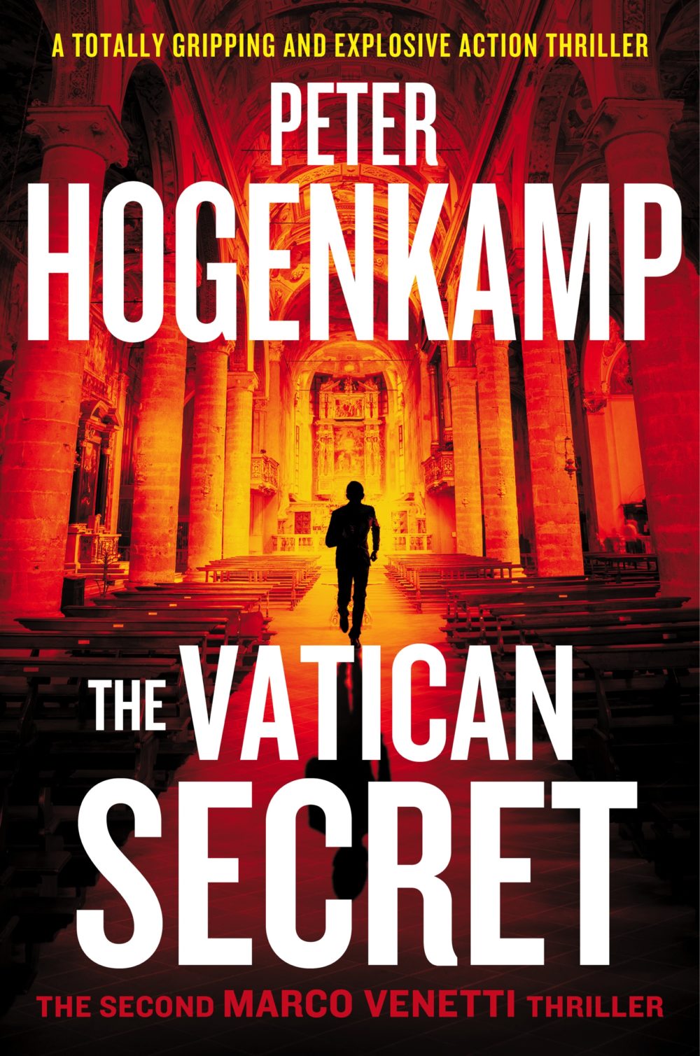 the vatican secret book review